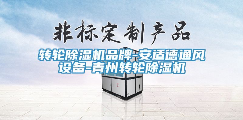 轉(zhuǎn)輪除濕機品牌-安適德通風設備-青州轉(zhuǎn)輪除濕機