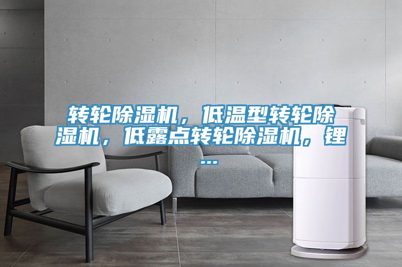 轉輪除濕機，低溫型轉輪除濕機，低露點轉輪除濕機，鋰 ...