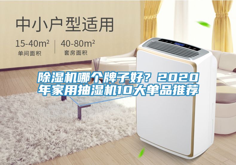 除濕機哪個牌子好？2020年家用抽濕機10大單品推薦