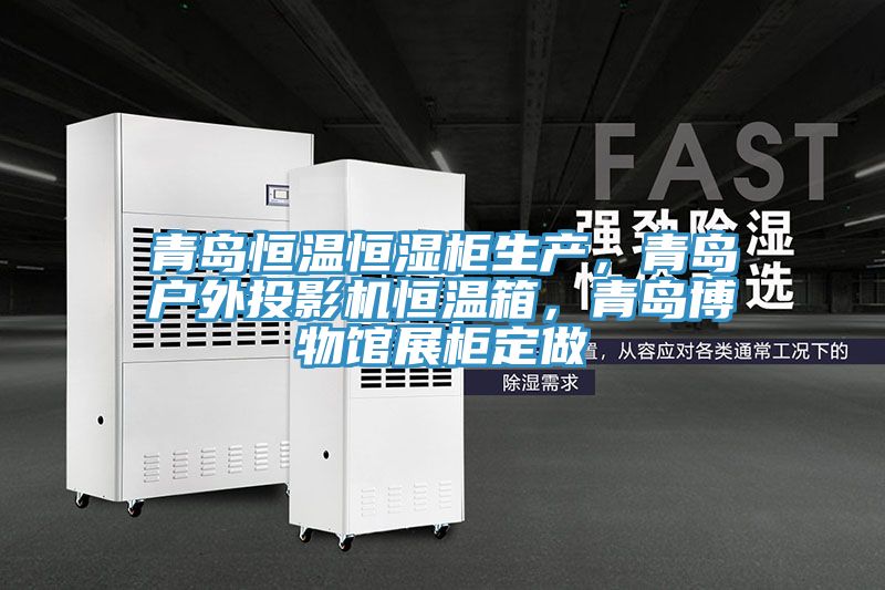 青島恒溫恒濕柜生產，青島戶外投影機恒溫箱，青島博物館展柜定做