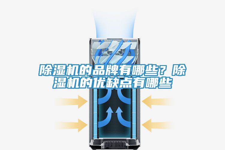 除濕機(jī)的品牌有哪些？除濕機(jī)的優(yōu)缺點有哪些