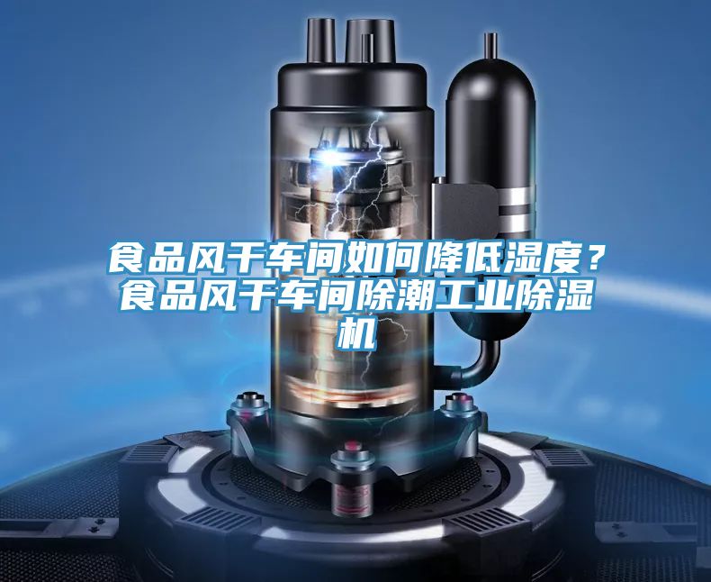 食品風(fēng)干車間如何降低濕度？食品風(fēng)干車間除潮工業(yè)除濕機