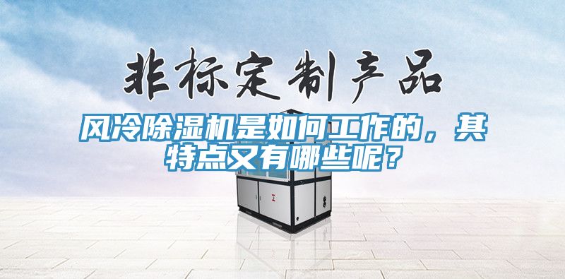 風冷除濕機是如何工作的，其特點又有哪些呢？