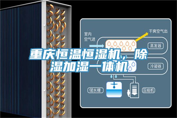 重慶恒溫恒濕機，除濕加濕一體機